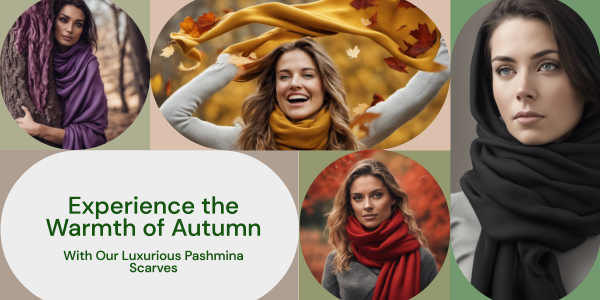 Autumn Hues and Emotions: A Palette of Pashmina Scarves