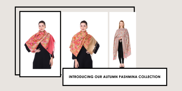 The Autumn Affair: Unveiling Pashmina Scarves and Stoles Collection for the Season's Start